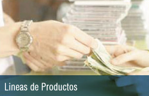 Linea de Productos